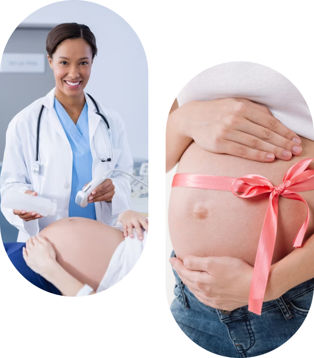Become A Surrogate Mother