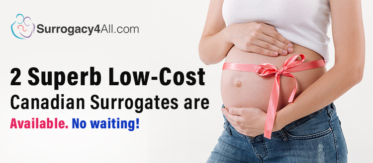 2 superb low-cost Canadian surrogates are available. No waiting!