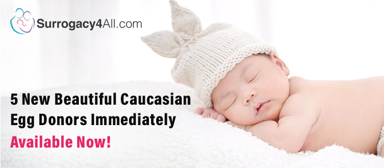 5 new beautiful Caucasian egg donors immediately available!