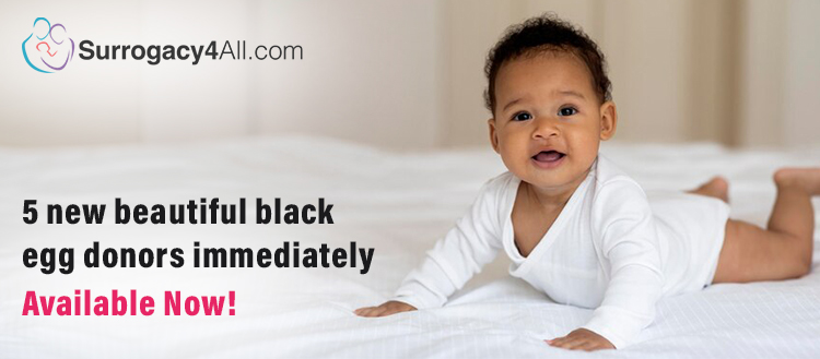 5 new beautiful black egg donors immediately available!