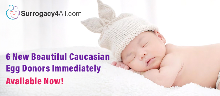 6 new beautiful Caucasian egg donors immediately available!