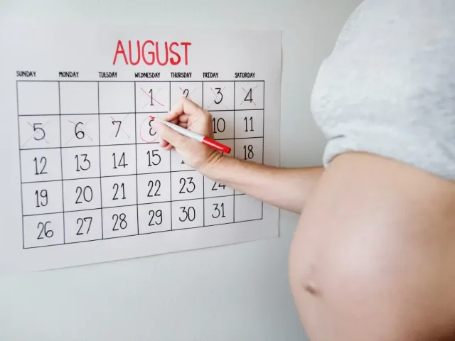 Timeline of the Surrogacy Journey – From Application to Birth