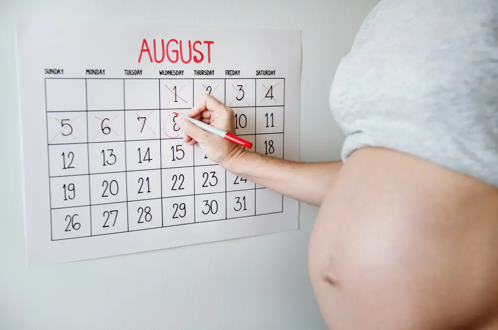 Timeline of the Surrogacy Journey – From Application to Birth