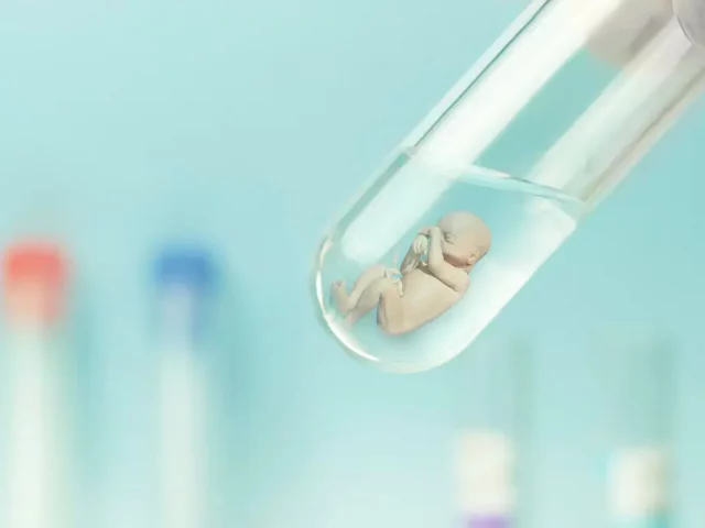 Quality vs Quantity of Embryos
