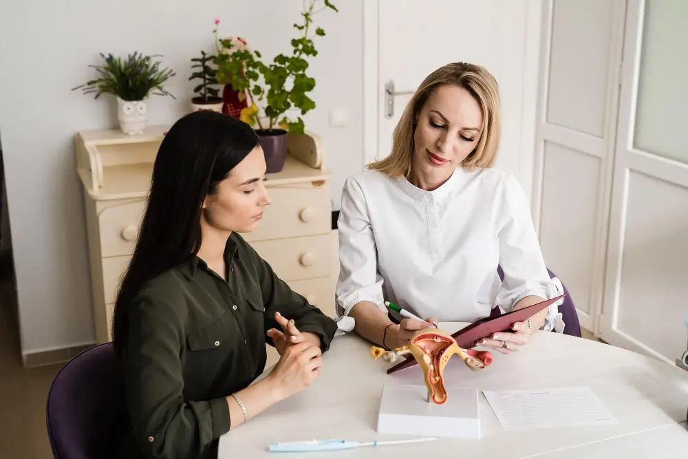 Elite egg donor program matching process 