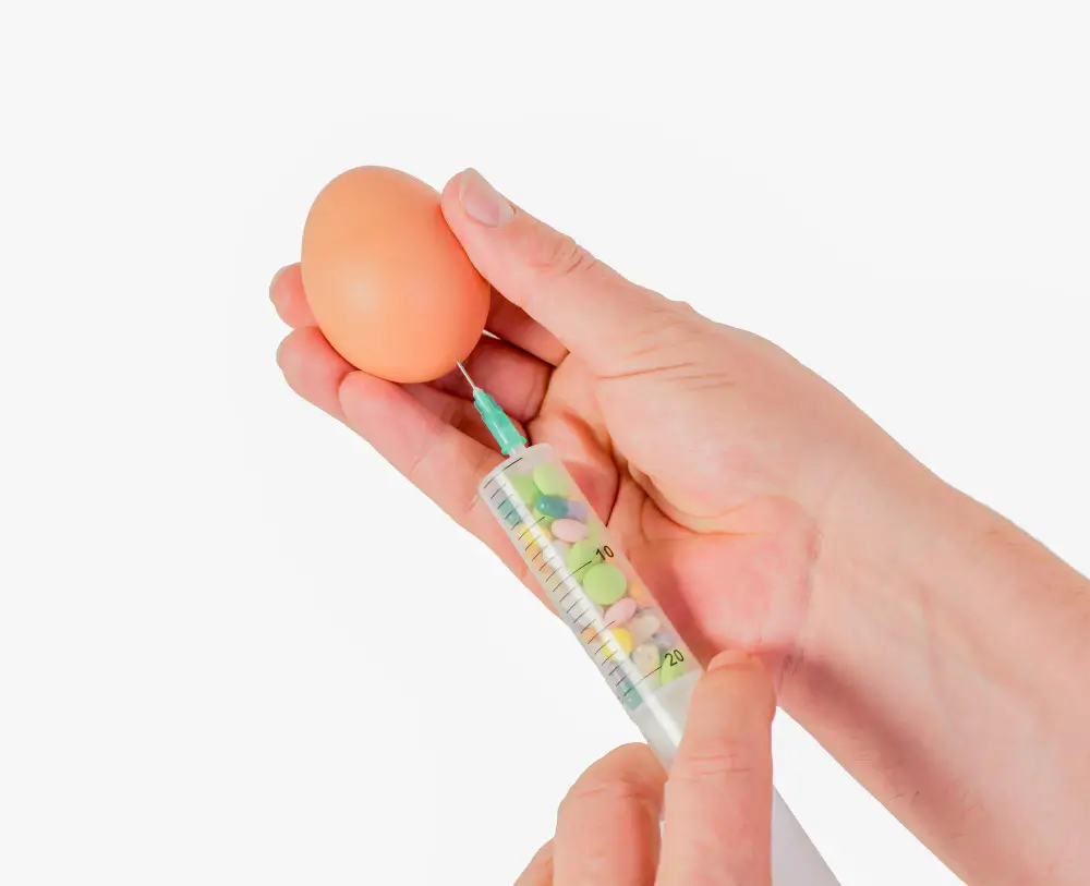 Donor Egg Success Rates – What the Data Really Shows