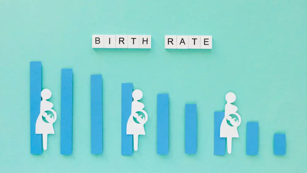 New York surrogacy project timeline overview