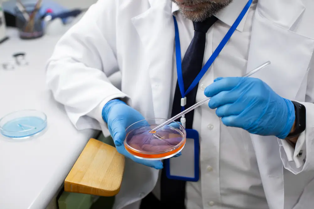 Sperm DNA Fragmentation — When to Test and What to Do — illustrative.