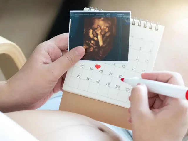 Medical Insight on Pregnancy Viability Week by Week Growth