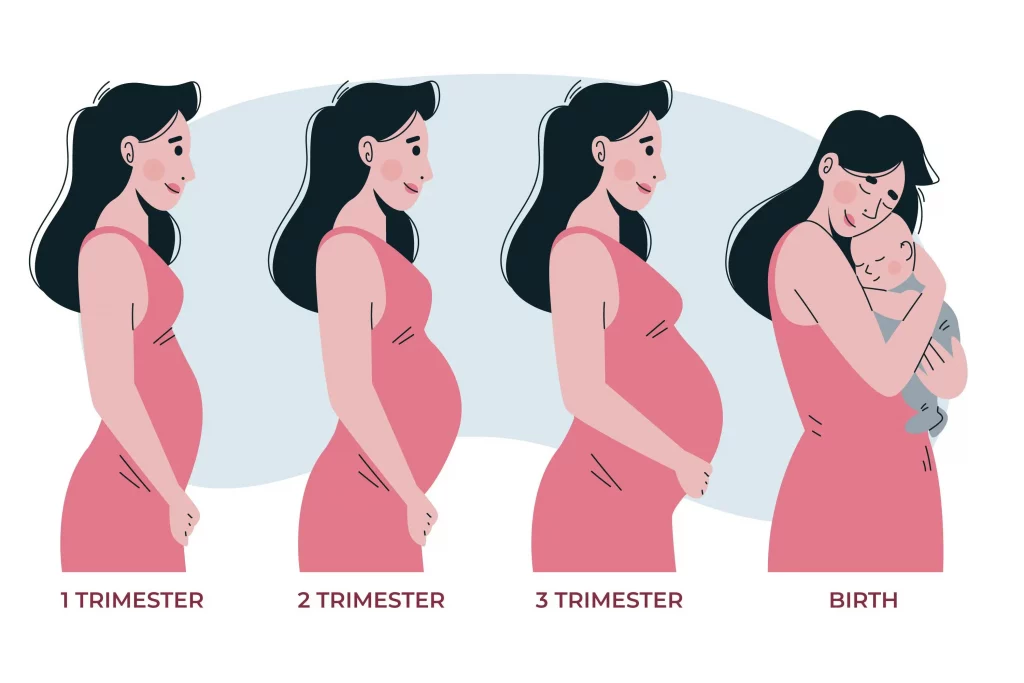 Pre-birth order timeline for New York surrogacy