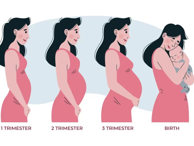 New York Surrogacy Laws Explained: CPSA, Pre-Birth Orders, and Hospital Planning