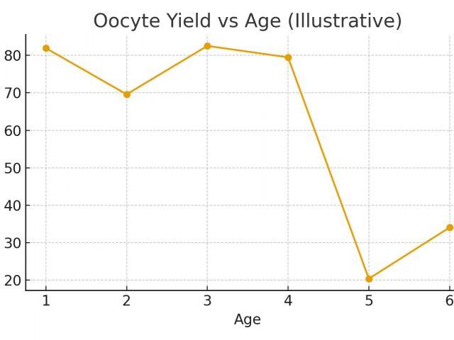 Egg Freezing Costs — Line Items & Scenarios
