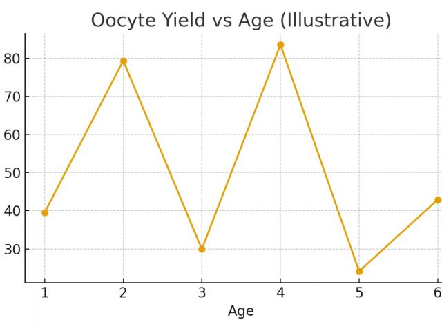 Pharmacy Logistics — Avoiding Last‑Minute Issues