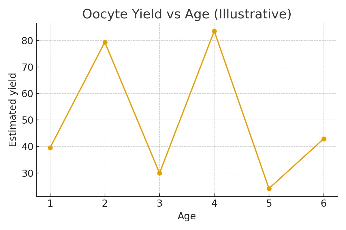 Pharmacy Logistics — Avoiding Last‑Minute Issues