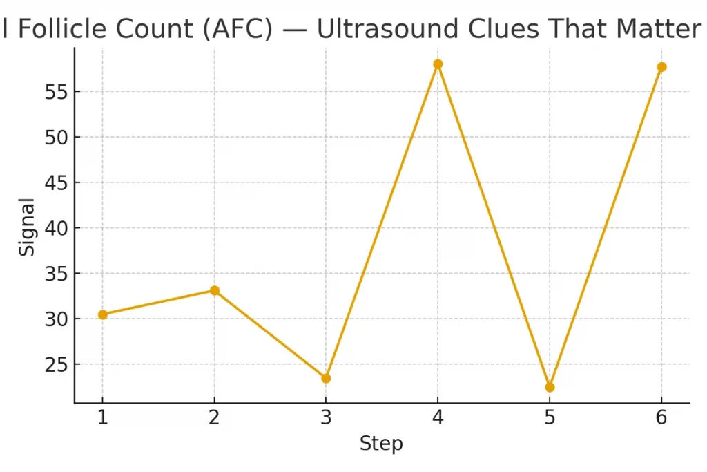 Antral Follicle Count (AFC) — Ultrasound Clues That Matter — illustrative