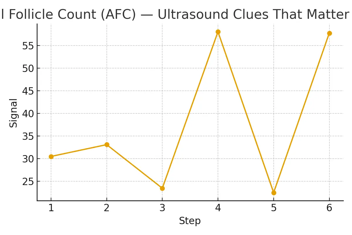 Antral Follicle Count (AFC) — Ultrasound Clues That Matter — illustrative