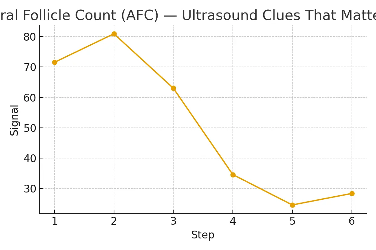 Antral Follicle Count (AFC) — Ultrasound Clues That Matter — illustrative
