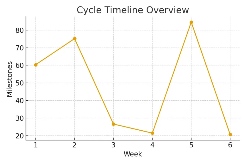 Cumulative Success — What It Really Means | Personalized Integrative Care
