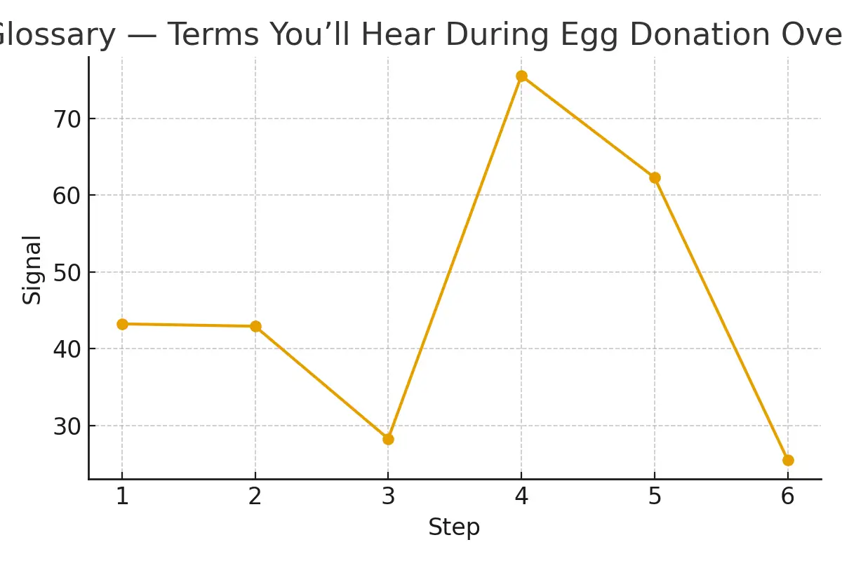 : Glossary — Terms You’ll Hear During Egg Donation — illustrative.