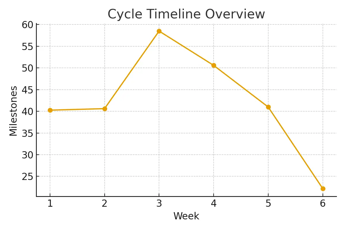 IVF Success Rates by Age