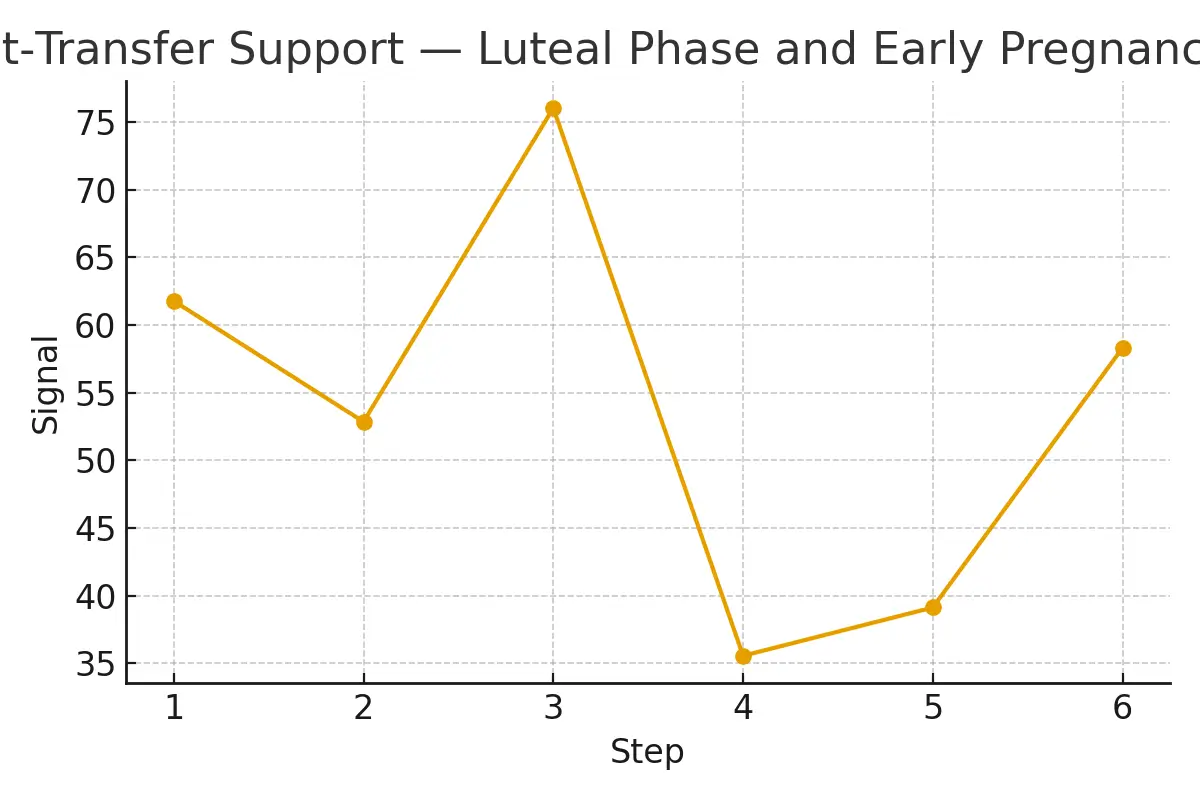 Post‑Transfer Support — Luteal Phase and Early Pregnancy — illustrative.