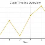 Top 10 Implantation Myths (Debunked)