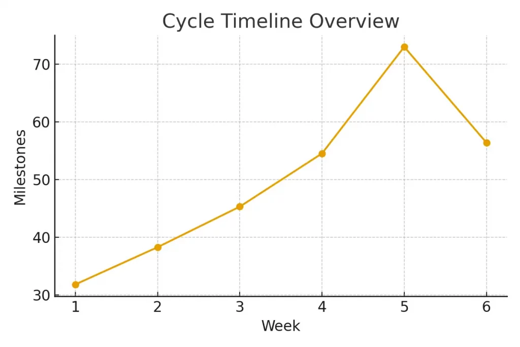 Transfer‑Day Preparation Checklist