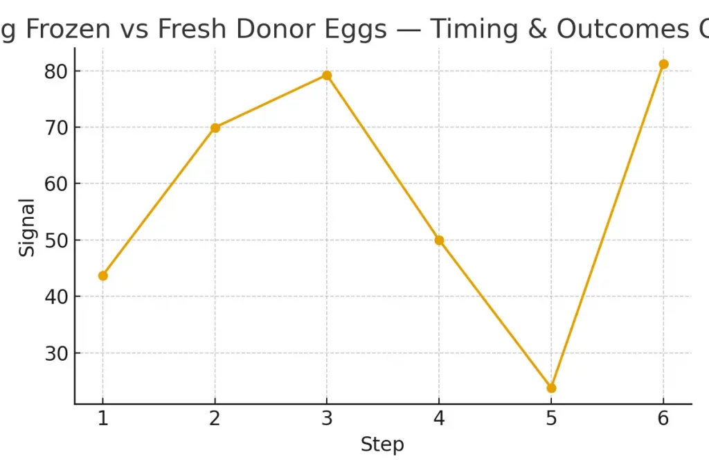 Using Frozen vs Fresh Donor Eggs — Timing & Outcomes