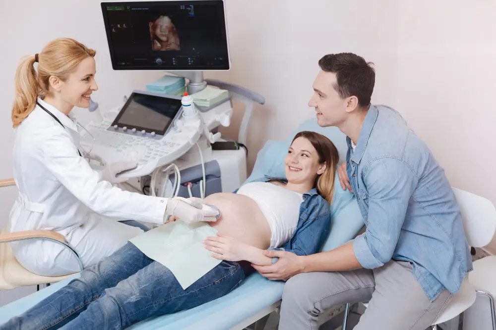 Become a Surrogate Mother 