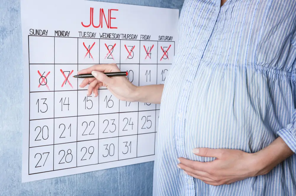 How Long Does Surrogacy Take? A Step-by-Step Timeline