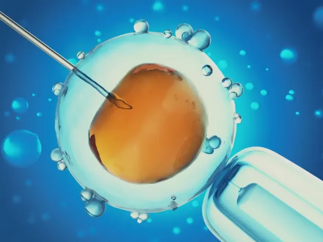 Fresh vs. Frozen Embryo Transfers