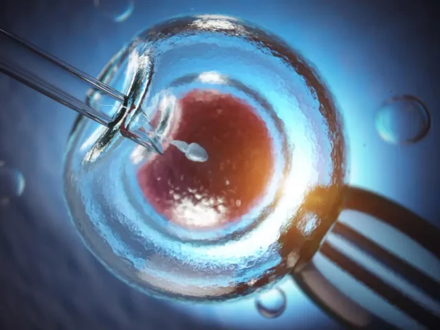 The Hidden Cost of Imported Frozen Eggs vs. Surrogacy4All’s Guaranteed Embryos