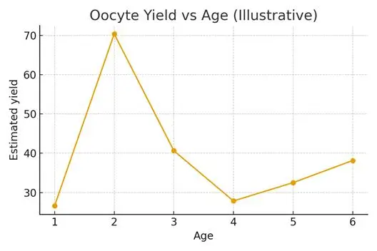 How Many Eggs Do I Need at My Age?