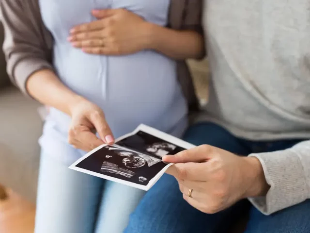 Embryo Readiness & IVF Process in Massachusetts Clinics