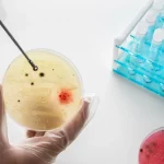 Embryo Preparation & IVF Labs