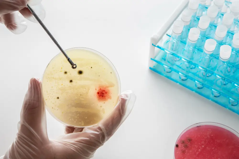 Embryo Preparation & IVF Labs