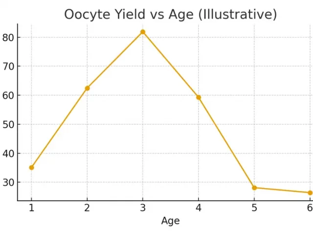Supplements & Lifestyle — What Might Help Yield