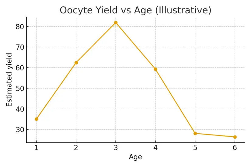 Supplements & Lifestyle — What Might Help Yield