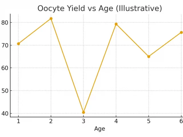 Storage & Transport — Moving Eggs Safely