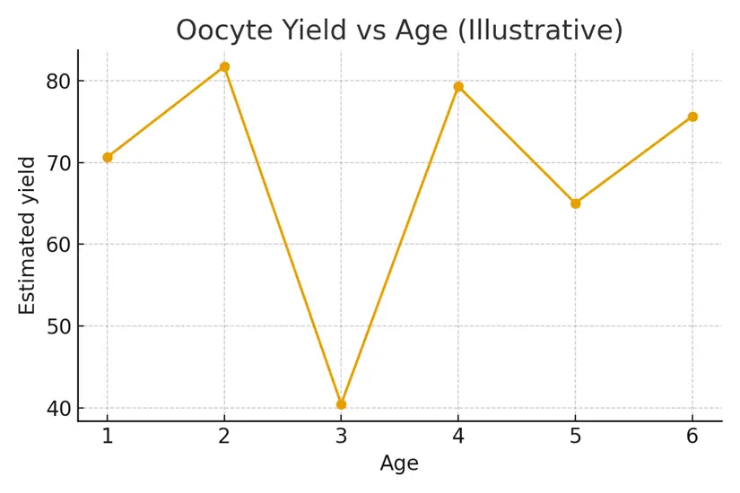 Storage & Transport — Moving Eggs Safely