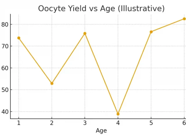 Financing & Benefits — HSA/FSA, Loans, Employer Coverage