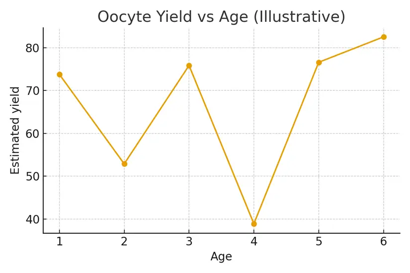 Financing & Benefits — HSA/FSA, Loans, Employer Coverage