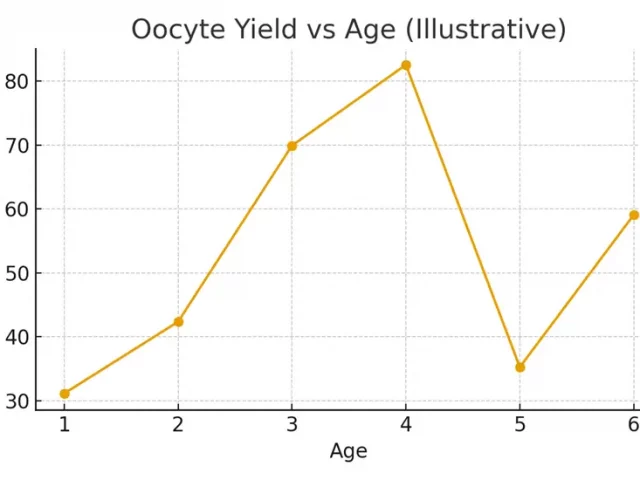 Second Cycle Planning — Banking Strategy