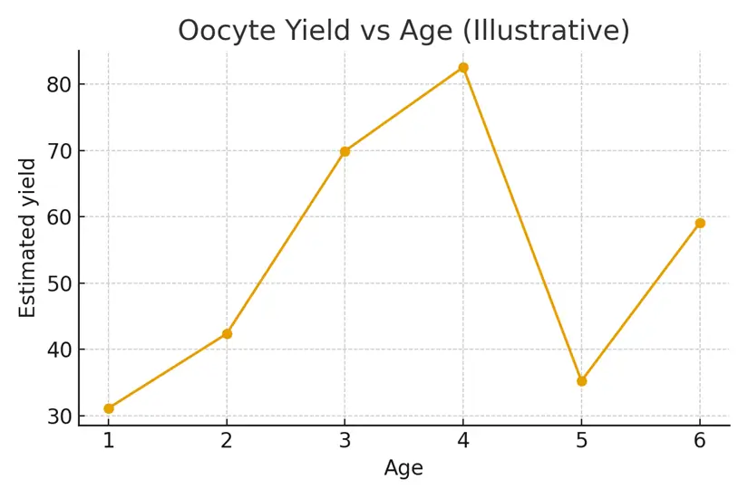 Second Cycle Planning — Banking Strategy