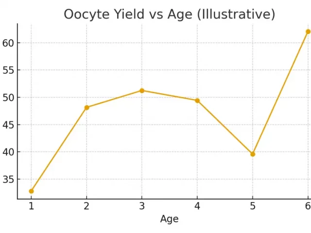 Deciding When to Use Frozen Eggs
