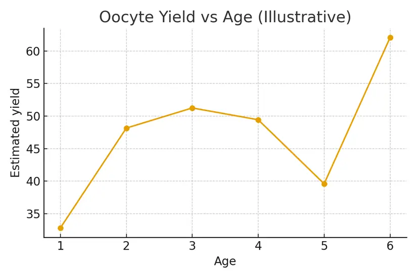 Deciding When to Use Frozen Eggs
