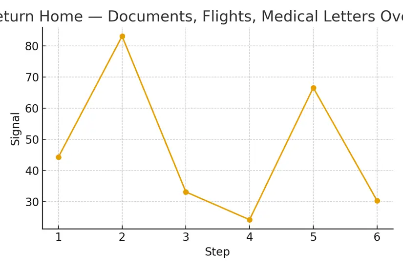 Return Home — Documents, Flights, Medical Letters — illustrative