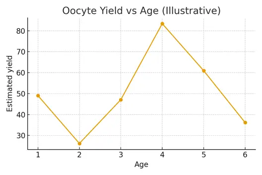Egg Freezing Step‑by‑Step