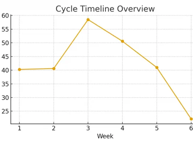 IVF Success Rates by Age