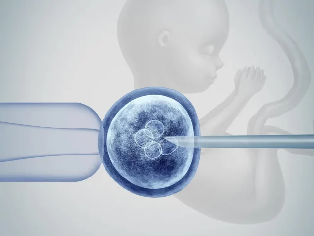 IVF & Embryo Process in Georgia: Step-by-Step Overview